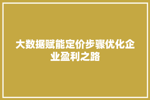 大数据赋能定价步骤优化企业盈利之路