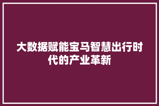 大数据赋能宝马智慧出行时代的产业革新  第1张