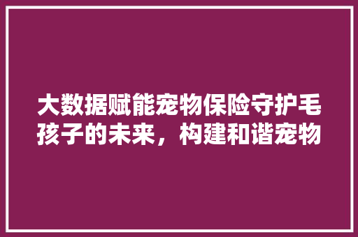 大数据赋能宠物保险守护毛孩子的未来，构建和谐宠物生活  第1张