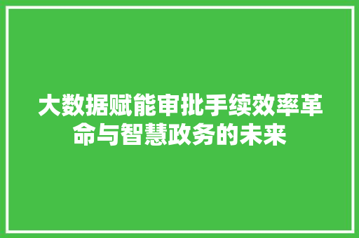 大数据赋能审批手续效率革命与智慧政务的未来