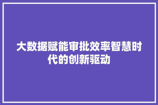 大数据赋能审批效率智慧时代的创新驱动
