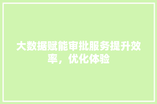大数据赋能审批服务提升效率，优化体验