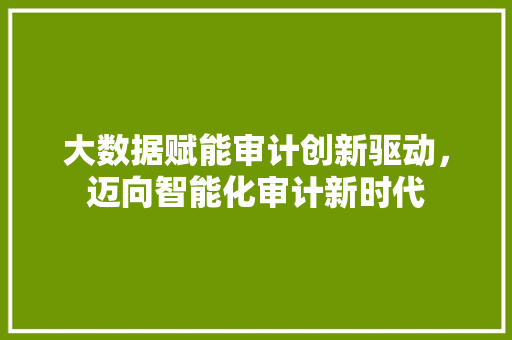 大数据赋能审计创新驱动，迈向智能化审计新时代  第1张