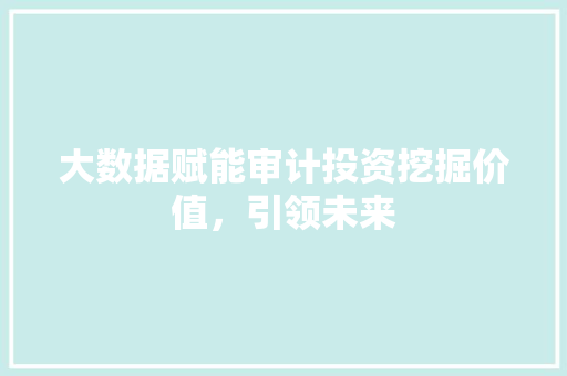 大数据赋能审计投资挖掘价值，引领未来  第1张