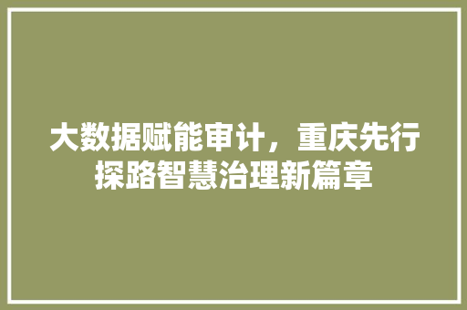 大数据赋能审计，重庆先行探路智慧治理新篇章  第1张