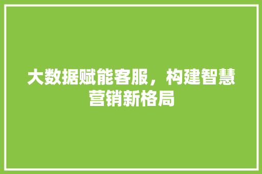 大数据赋能客服，构建智慧营销新格局  第1张