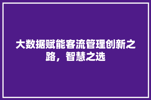 大数据赋能客流管理创新之路，智慧之选  第1张