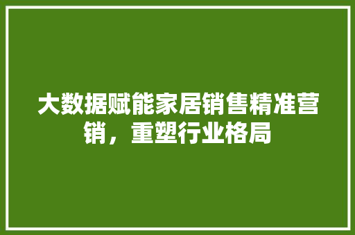 大数据赋能家居销售精准营销，重塑行业格局  第1张
