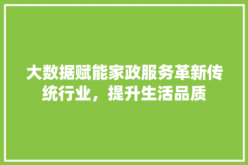 大数据赋能家政服务革新传统行业，提升生活品质