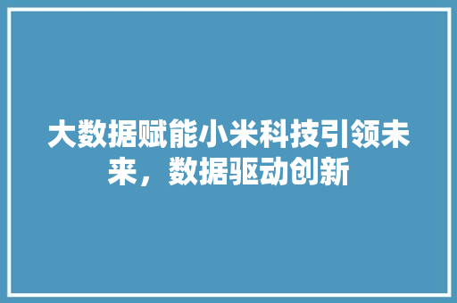 大数据赋能小米科技引领未来，数据驱动创新  第1张