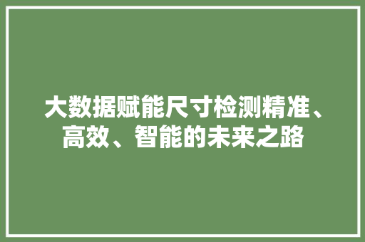 大数据赋能尺寸检测精准、高效、智能的未来之路  第1张