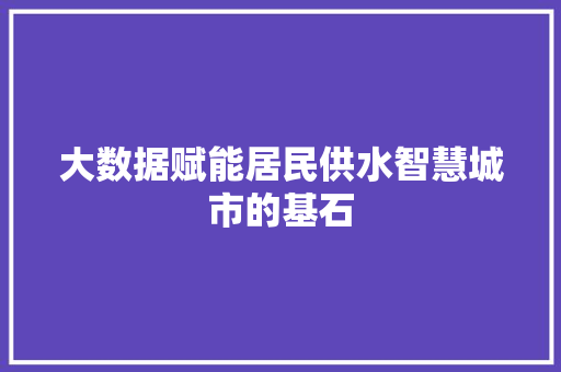大数据赋能居民供水智慧城市的基石