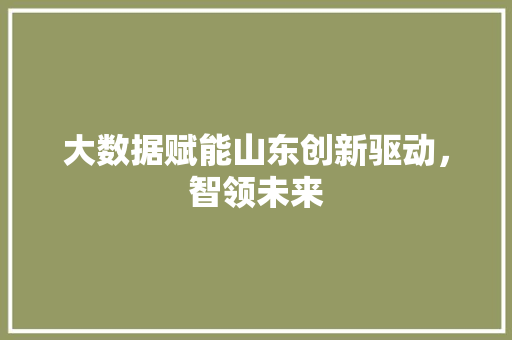 大数据赋能山东创新驱动，智领未来
