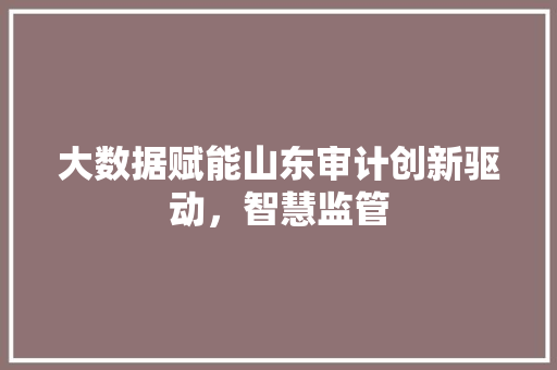 大数据赋能山东审计创新驱动，智慧监管  第1张