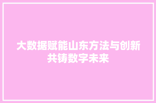 大数据赋能山东方法与创新共铸数字未来  第1张