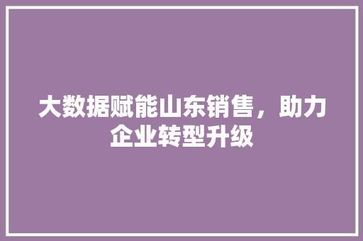 大数据赋能山东销售，助力企业转型升级  第1张
