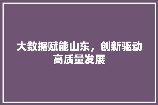 大数据赋能山东，创新驱动高质量发展