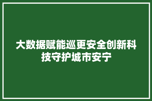 大数据赋能巡更安全创新科技守护城市安宁