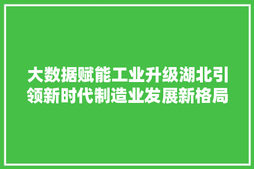 大数据赋能工业升级湖北引领新时代制造业发展新格局