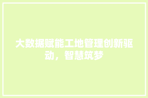 大数据赋能工地管理创新驱动，智慧筑梦