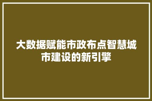 大数据赋能市政布点智慧城市建设的新引擎