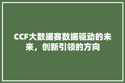 CCF大数据赛数据驱动的未来，创新引领的方向