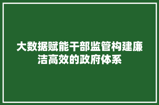 大数据赋能干部监管构建廉洁高效的政府体系  第1张