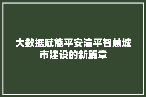 大数据赋能平安漳平智慧城市建设的新篇章