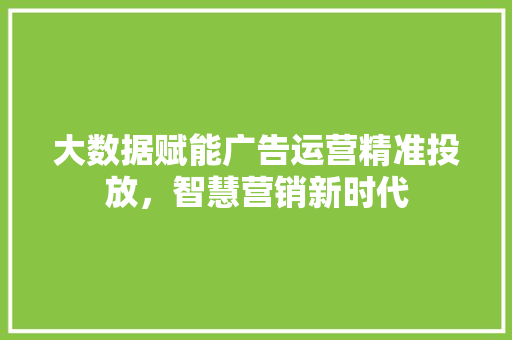 大数据赋能广告运营精准投放，智慧营销新时代  第1张