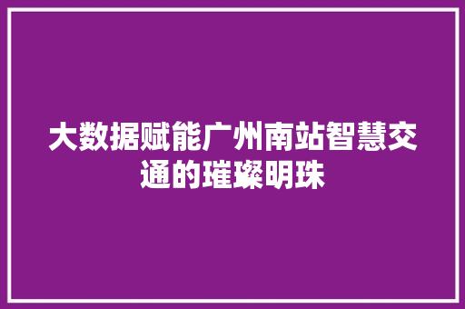 大数据赋能广州南站智慧交通的璀璨明珠