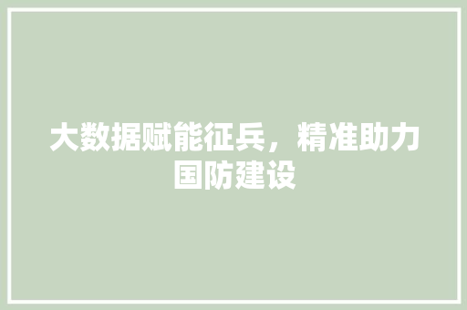 大数据赋能征兵，精准助力国防建设