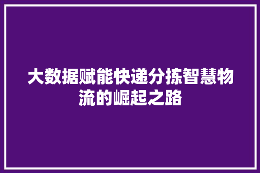 大数据赋能快递分拣智慧物流的崛起之路