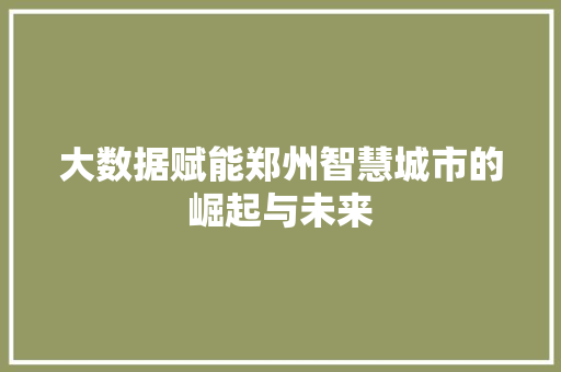 大数据赋能郑州智慧城市的崛起与未来  第1张