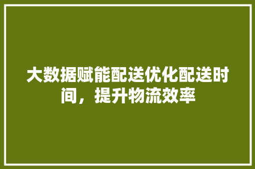 大数据赋能配送优化配送时间，提升物流效率