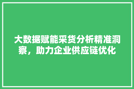 大数据赋能采货分析精准洞察，助力企业供应链优化  第1张