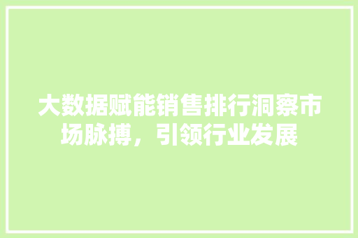 大数据赋能销售排行洞察市场脉搏，引领行业发展