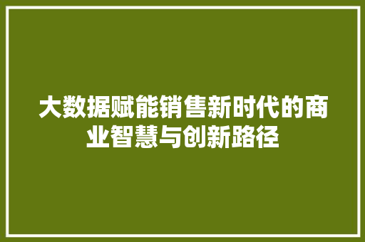 大数据赋能销售新时代的商业智慧与创新路径  第1张
