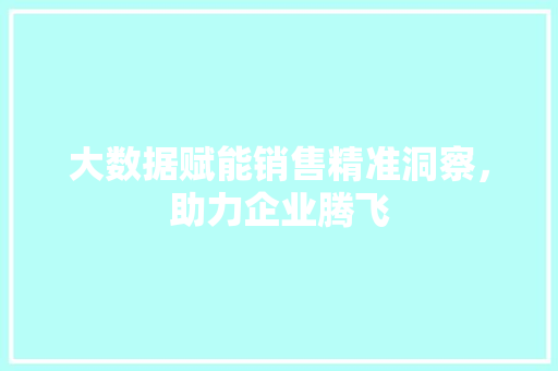 大数据赋能销售精准洞察，助力企业腾飞  第1张