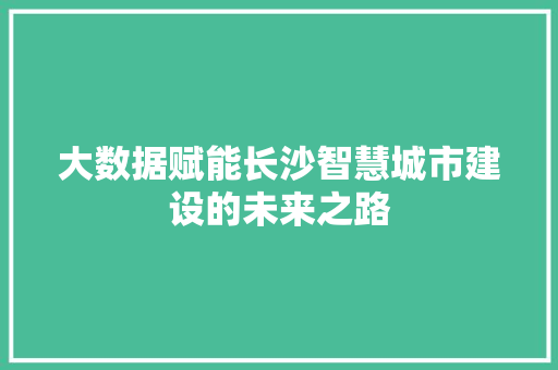 大数据赋能长沙智慧城市建设的未来之路  第1张
