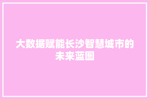 大数据赋能长沙智慧城市的未来蓝图  第1张