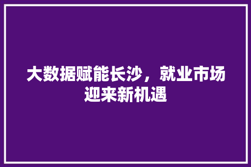大数据赋能长沙，就业市场迎来新机遇  第1张