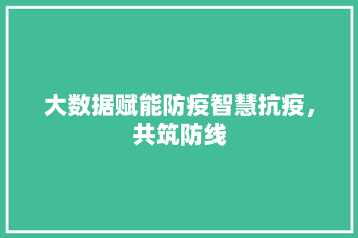 大数据赋能防疫智慧抗疫，共筑防线  第1张