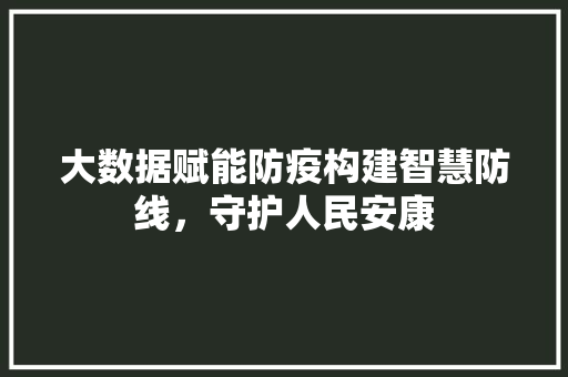 大数据赋能防疫构建智慧防线，守护人民安康  第1张