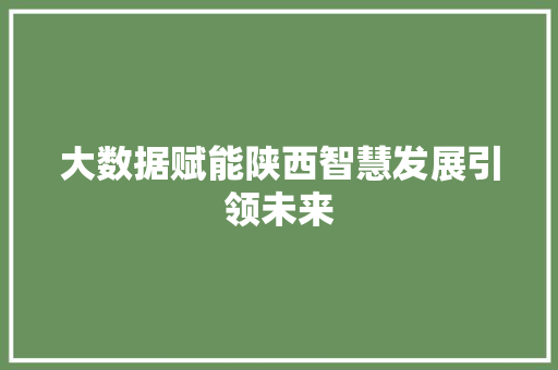大数据赋能陕西智慧发展引领未来  第1张