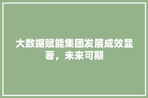 大数据赋能集团发展成效显著，未来可期  第1张