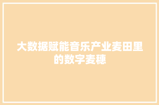 大数据赋能音乐产业麦田里的数字麦穗  第1张