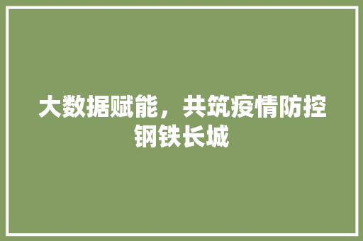 大数据赋能，共筑疫情防控钢铁长城  第1张