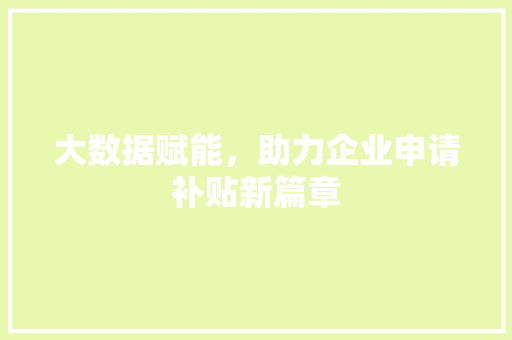 大数据赋能，助力企业申请补贴新篇章