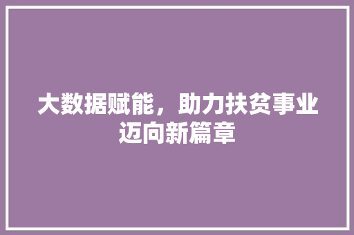 大数据赋能，助力扶贫事业迈向新篇章  第1张