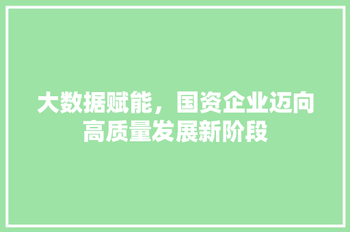 大数据赋能，国资企业迈向高质量发展新阶段
